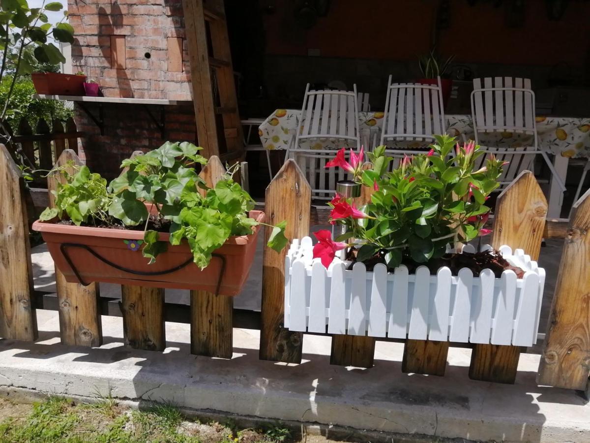 Ninic Family Apartments Тиват Екстер'єр фото