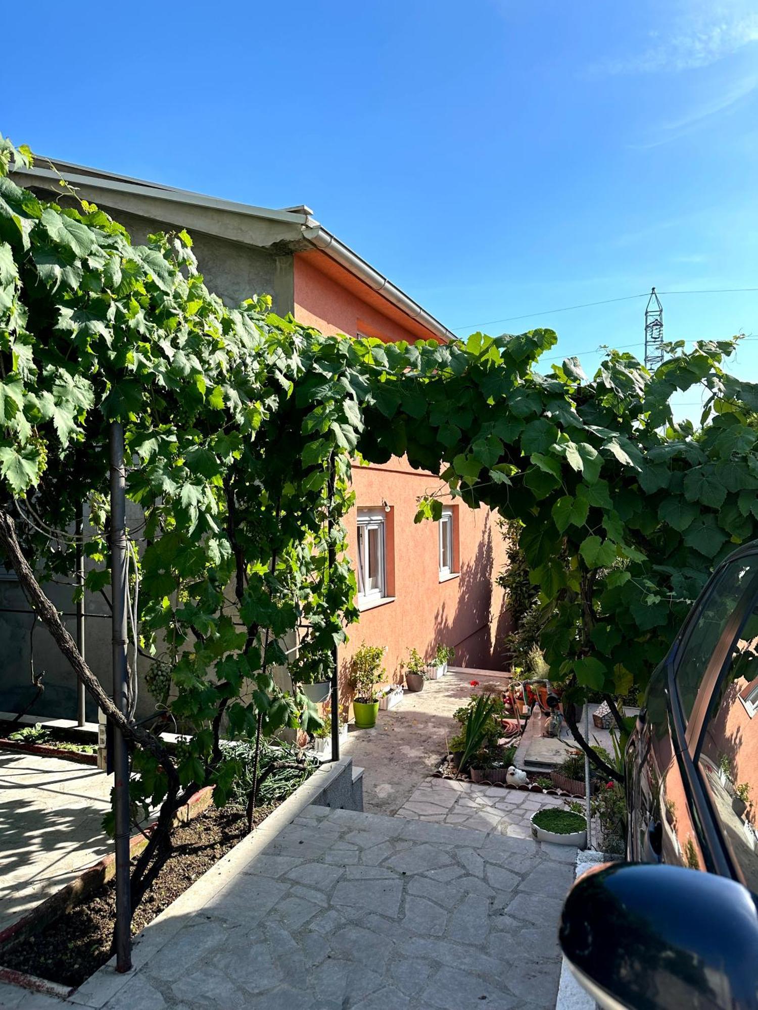 Ninic Family Apartments Тиват Екстер'єр фото